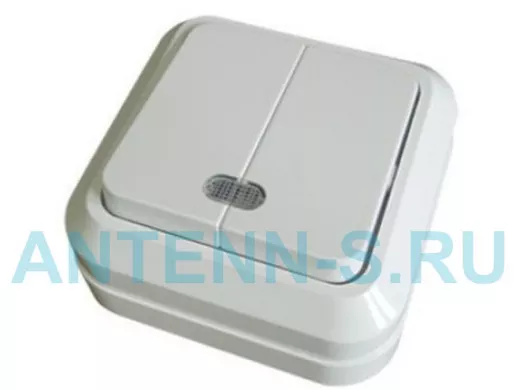 Выключатель TDM 2кл., Ладога, о/у, с подсветкой, IP20, 10А, белый SQ1801-0007