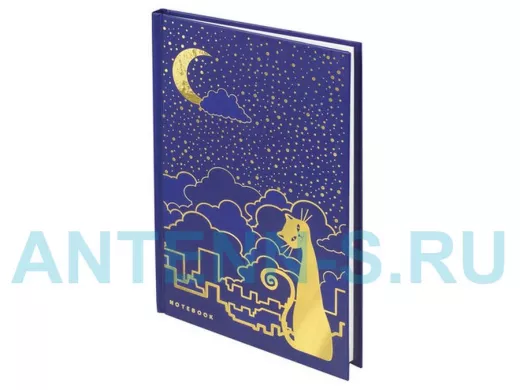 Блокнот 7БЦ А5 80л., фольга, кл. "BR-72215", Кошечка, 135*206мм