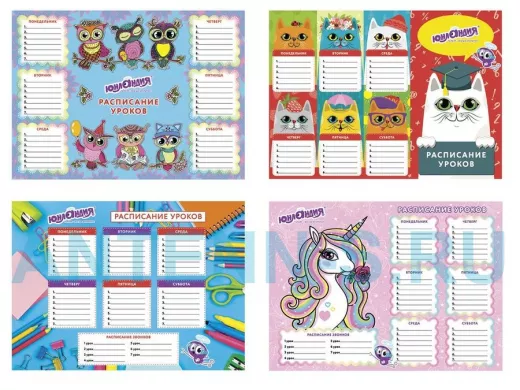 Расписание уроков А4, для девочек "BR-73341", ассорти (4 вида)